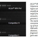 Allin RPH Polymerase.jpg