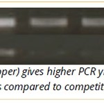 SampleIN Direct PCR Kit.jpg