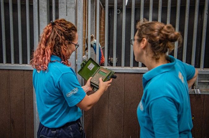 ! Photo! Leah and Zoe recording cassowary2.jpg
