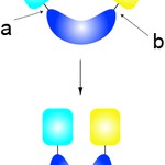 How many aa should be in a and b?