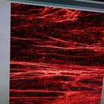 bad fibers red.jpg
