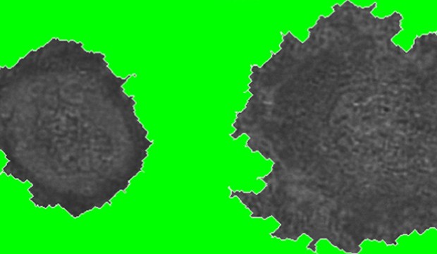 The more frayed, the more malignant