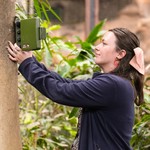 2025_07_Rebecca Lewis_Bioacoustics_CopyrightCZDSC00139.jpg